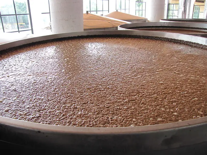 Producción de Tequila Artesanal