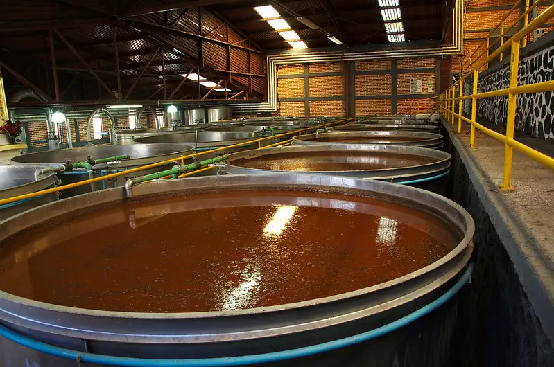Coleccionismo de Botellas de Tequila