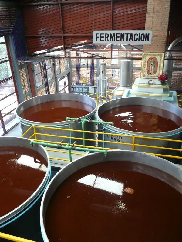 El Tequila y su influencia en la Arquitectura