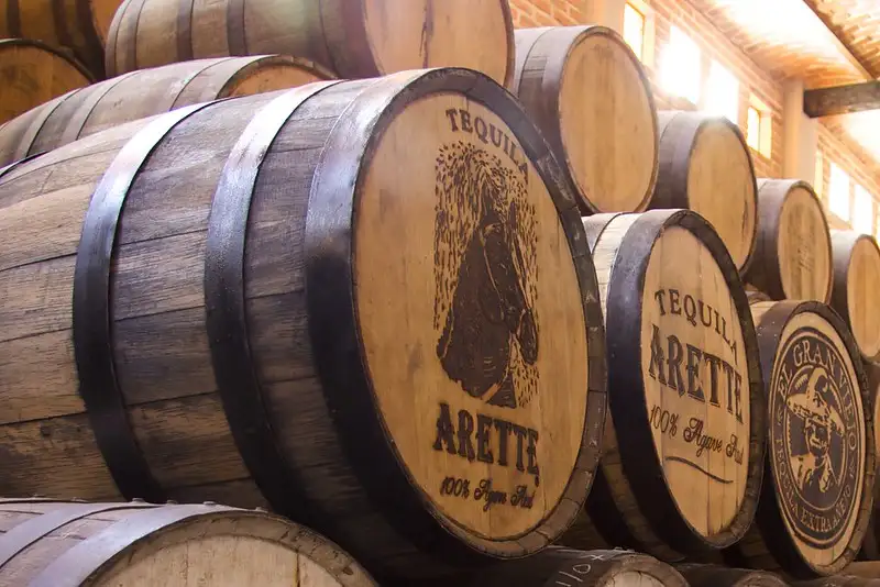 El Tequila en la Pintura
