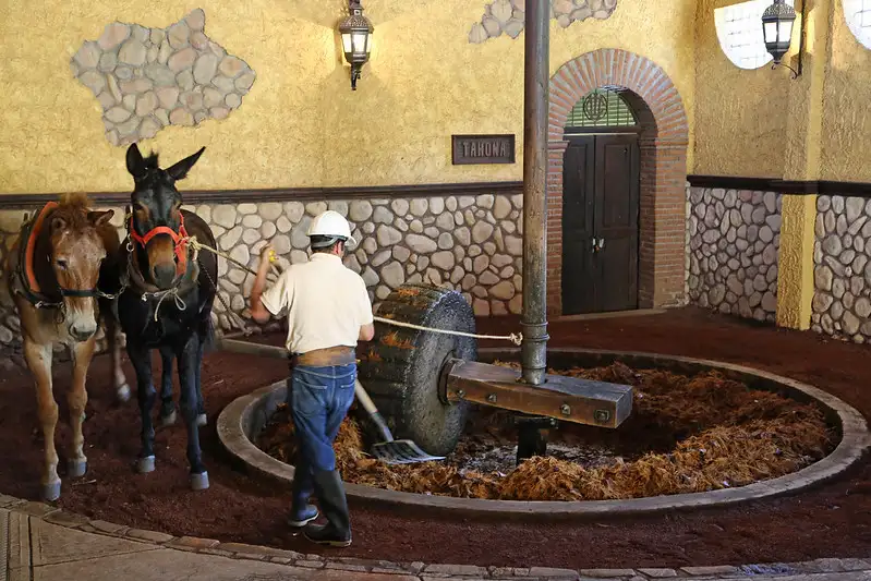 El Tequila en la Nutrición