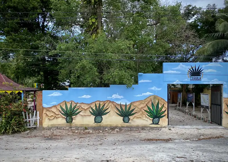 El Tequila en la Sociología
