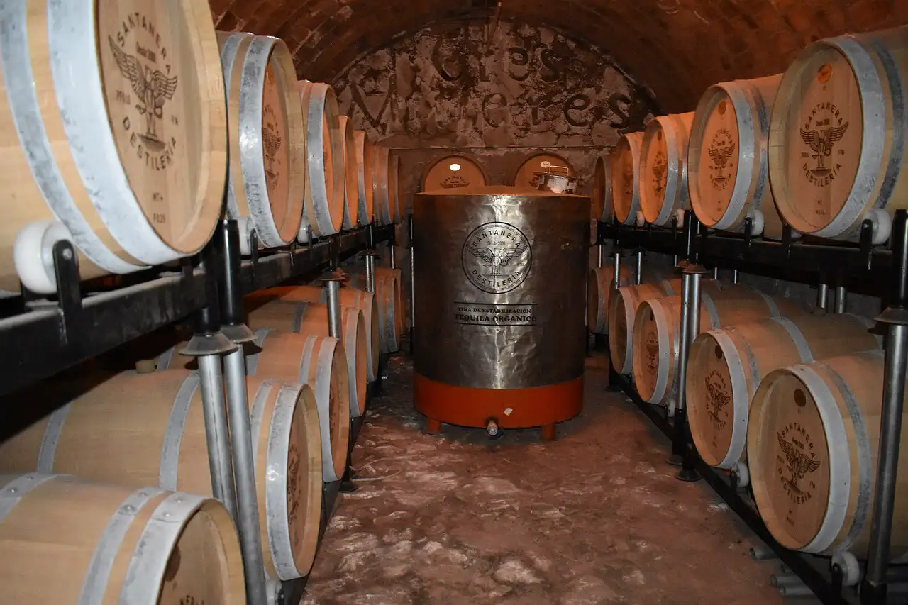El Tequila en la Arqueología