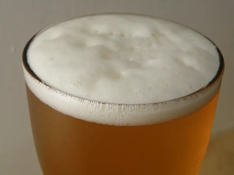 Explorando la Historia de las Bebidas Alcohólicas Fermentadas