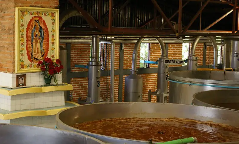 Aspectos Importantes de la Producción de Bebidas Alcohólicas Fermentadas