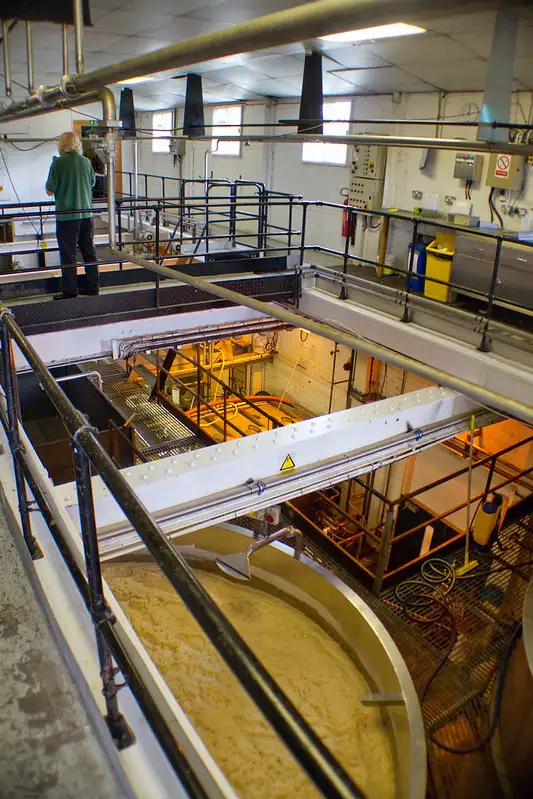 El Papel de las Bebidas Alcohólicas Fermentadas en la Cultura