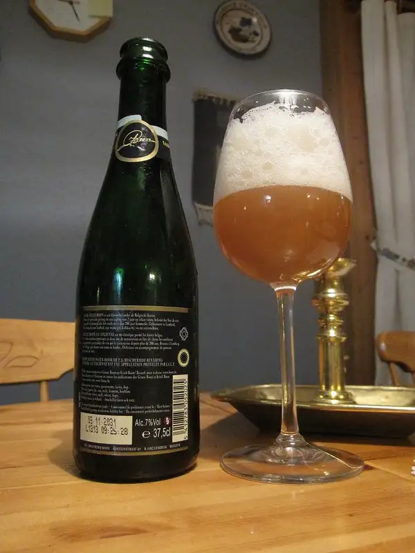 Entendiendo Bebidas Alcohólicas Fermentadas y Salud