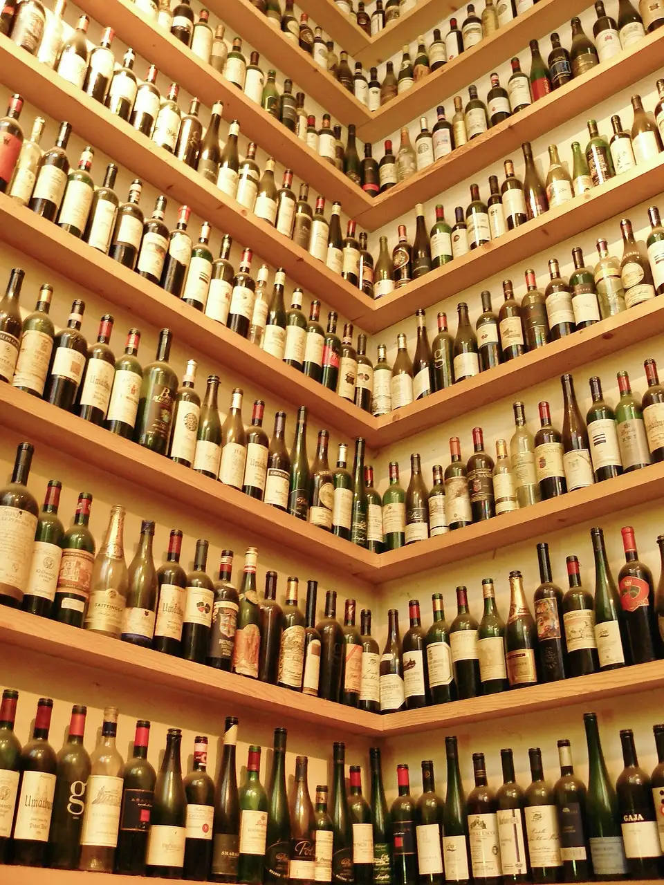 La Influencia del Clima y Terroir en el Vino
