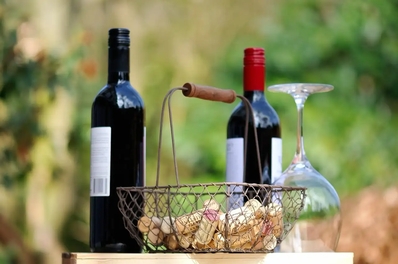 Comprendiendo los Vinos Veganos