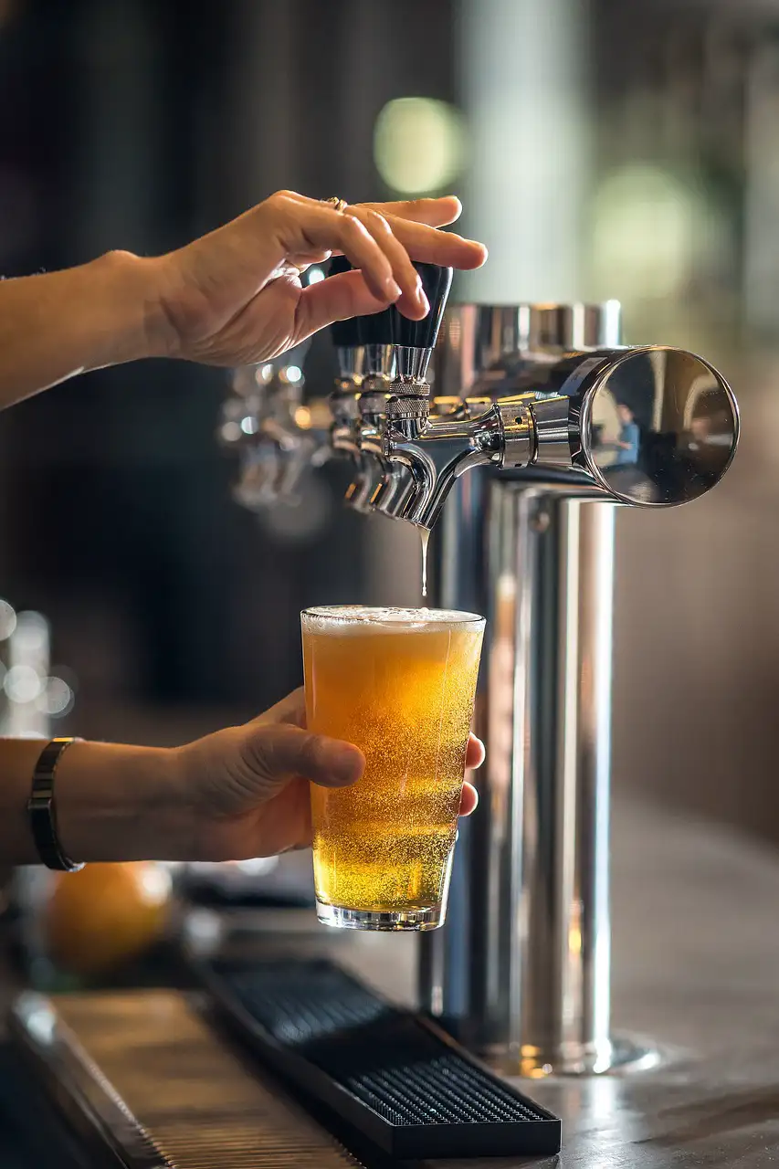 Explorando los Tipos de Cerveza