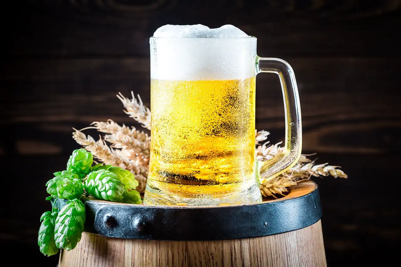 La Combinación de Cerveza y Gastronomía