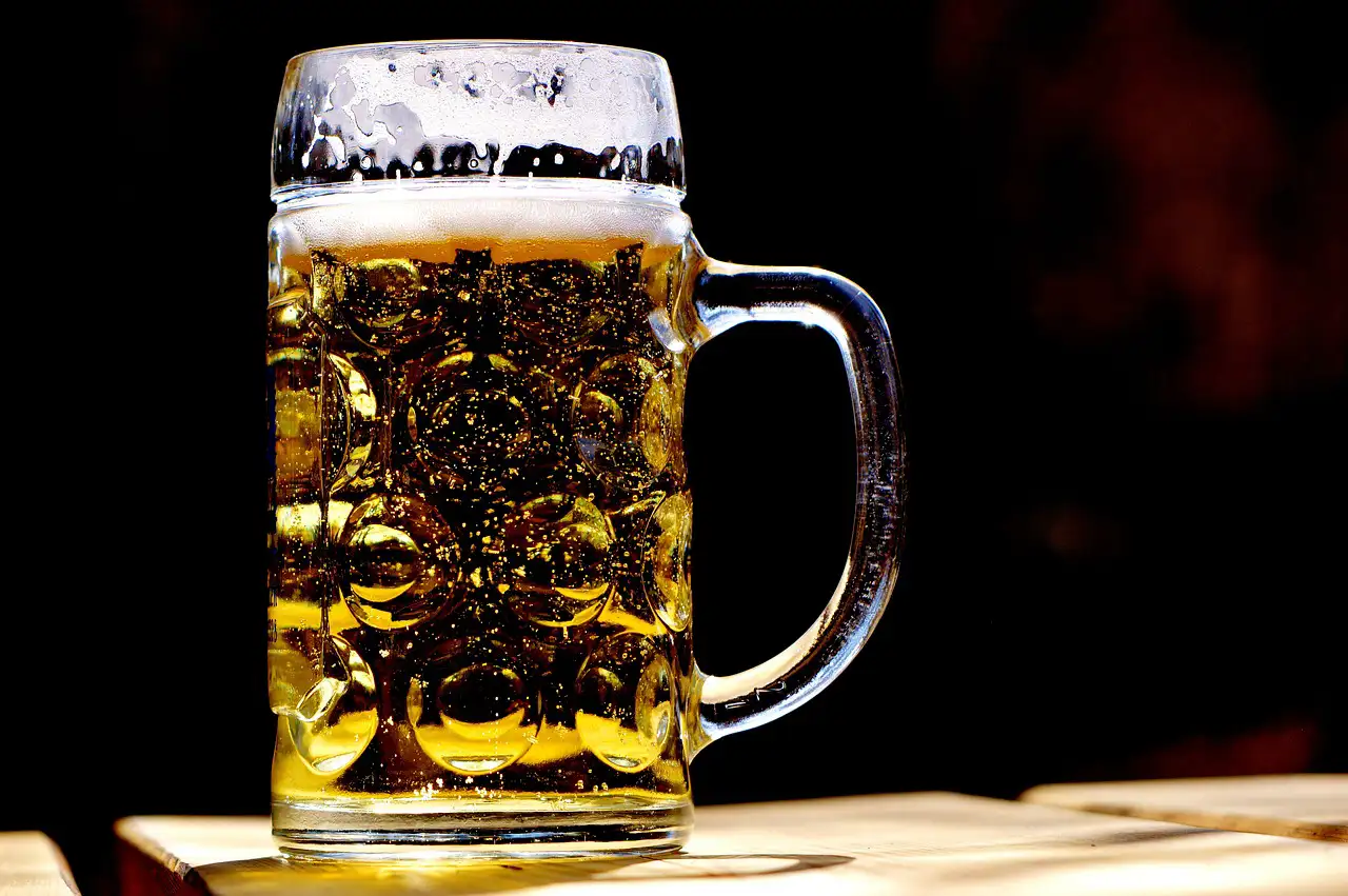 Profundizando en la Cerveza Artesanal