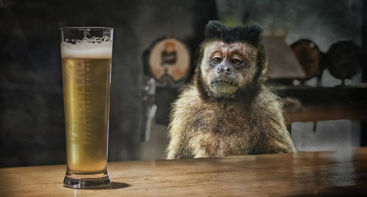 Descifrando las Variedades de Lúpulo en la Cerveza