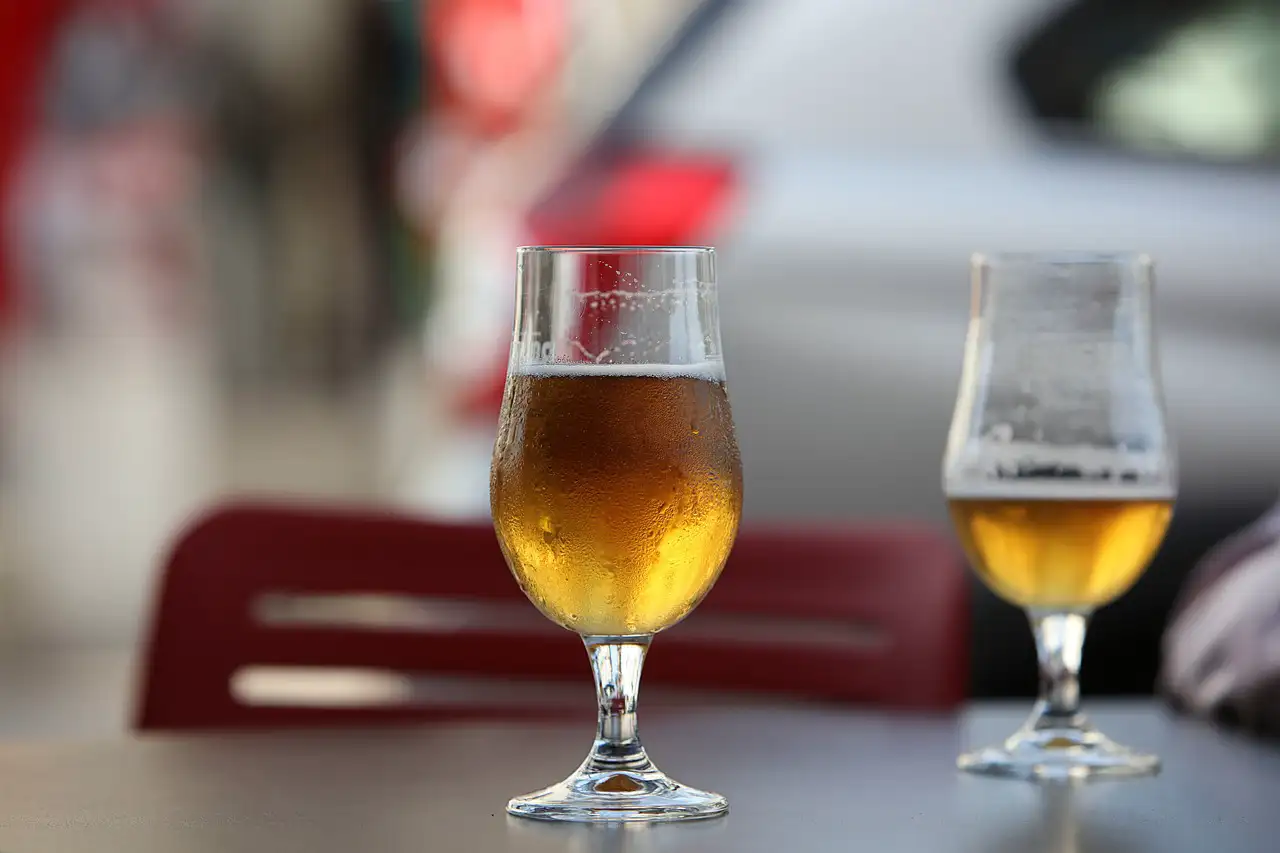 Explorando los Efectos de la Cerveza en la Salud