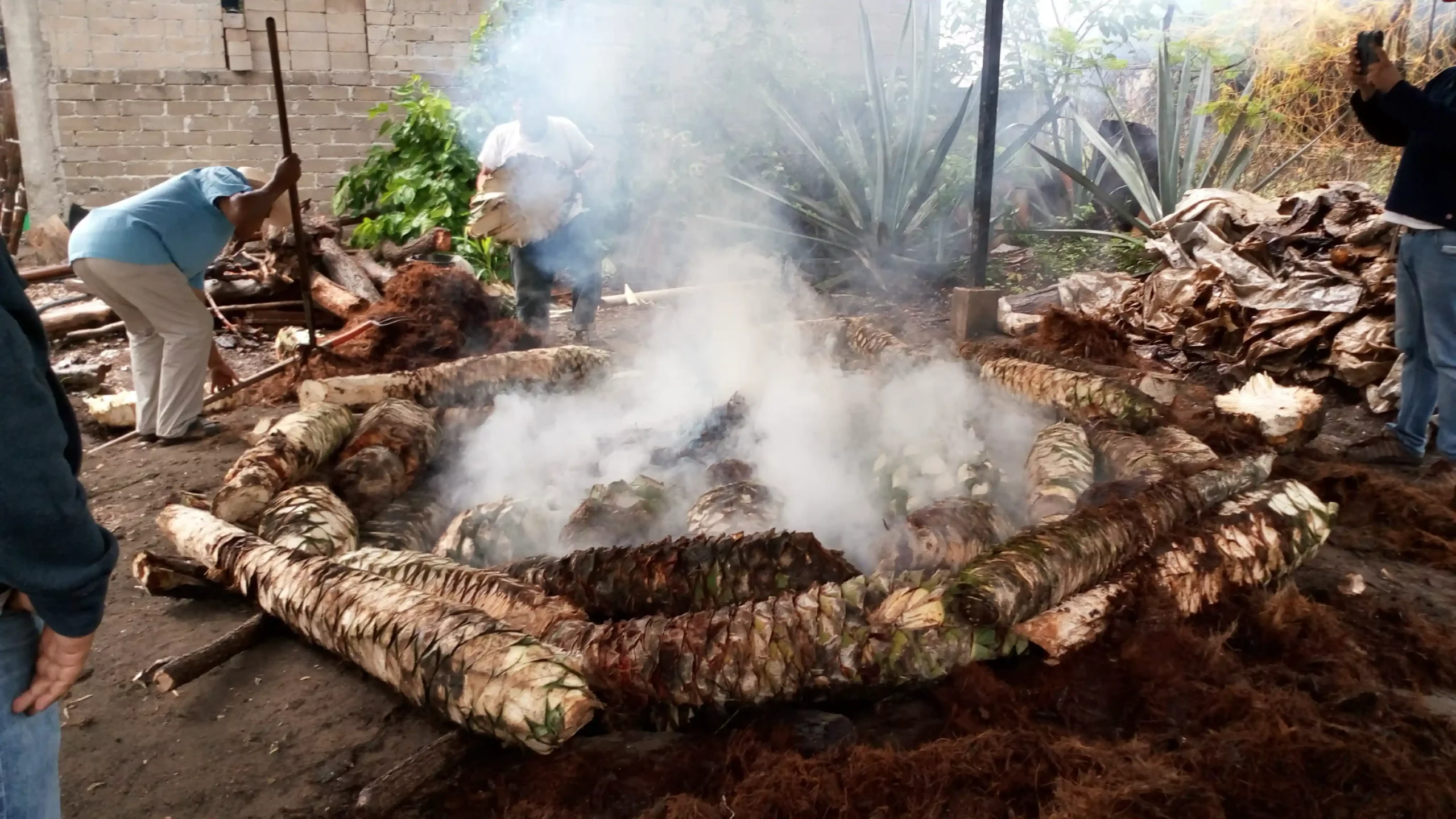 Mezcal en el Mundo: Cómo se ha internacionalizado esta bebida