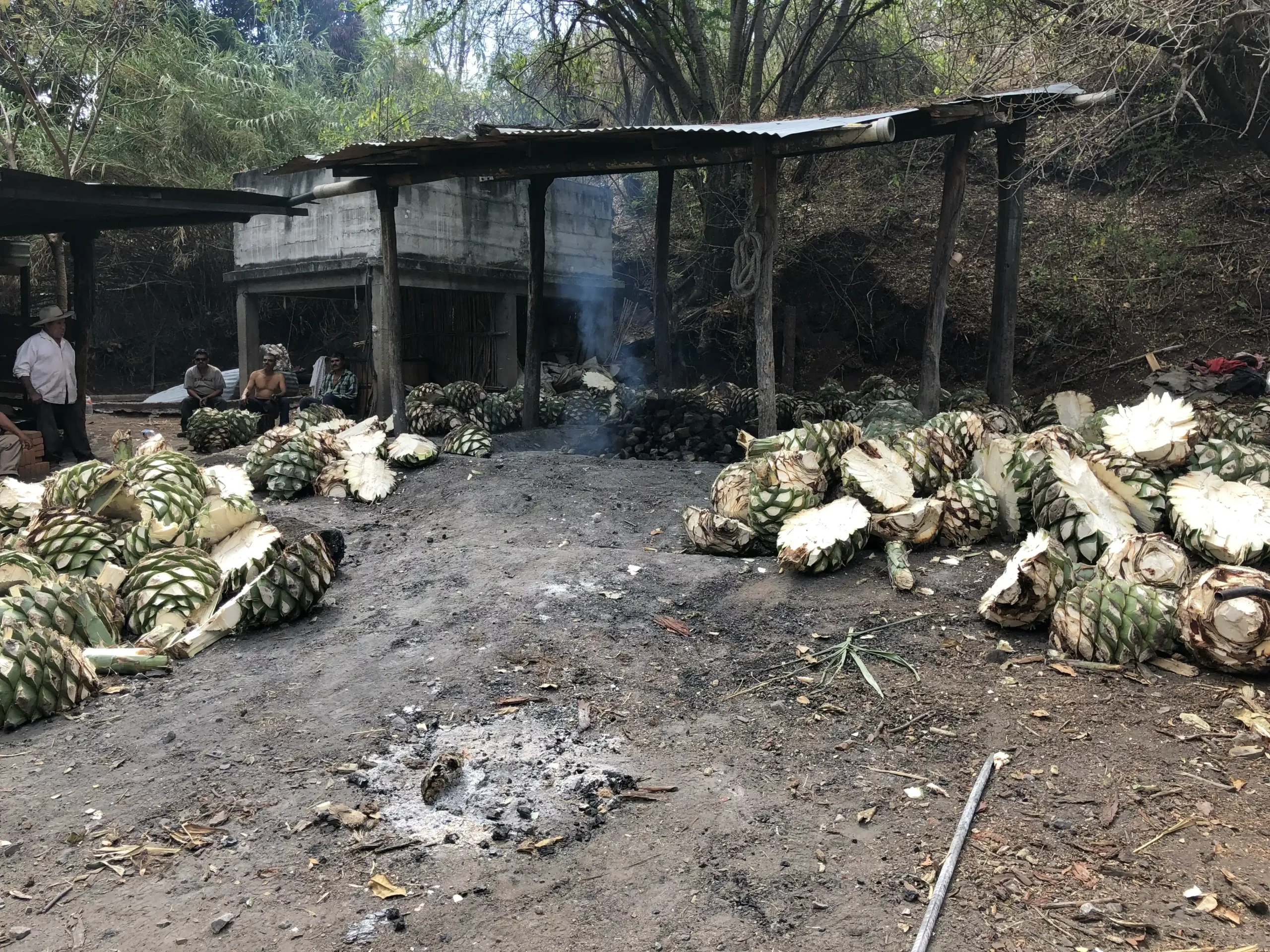 Mezcal y Mixología: Cómo esta bebida transforma los cócteles