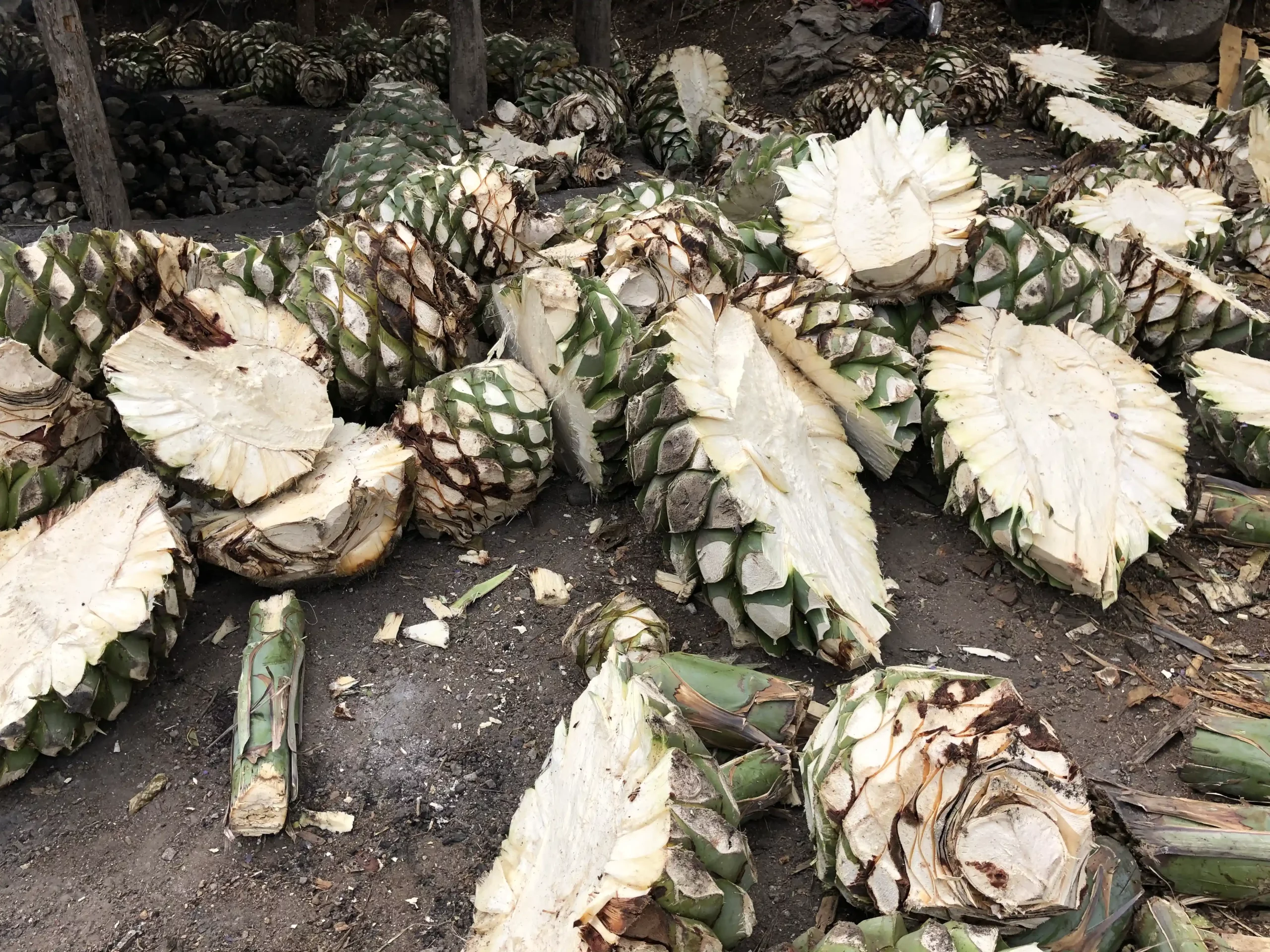 Las Mujeres y el Mezcal: El rol femenino en la industria