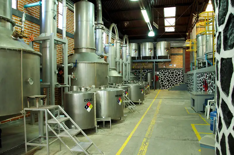 Presencia del Tequila en el Cine