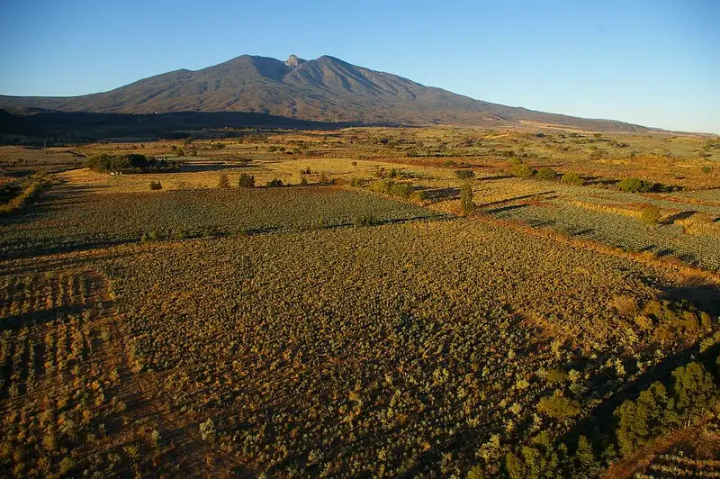 El Tequila en el Turismo Sostenible