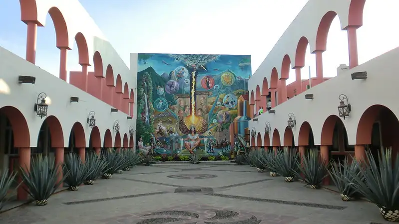 El Tequila y la Responsabilidad Social