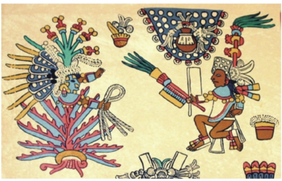 Agave: Cultura y Simbolismo, reflejo del patrimonio y la identidad mexicana.