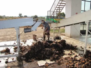 Destilerías de Tequila: donde la magia del agave se convierte en el espíritu vibrante que conocemos y amamos.