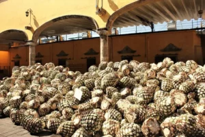 Leyes del Tequila: protegiendo la integridad y la tradición del tequila en cada reglamento.