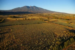 Tequila y Turismo Sostenible: recorriendo la ruta del tequila, protegiendo el patrimonio para las futuras generaciones.