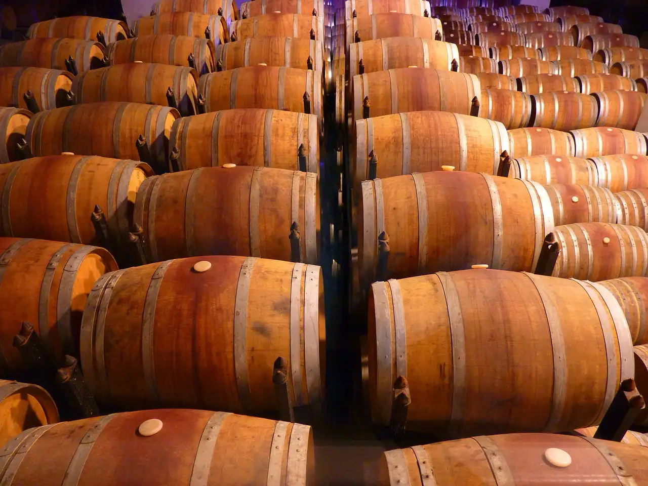 Historia del Vino: viaja a través de siglos de historia y descubre cómo el vino ha evolucionado y moldeado las sociedades alrededor del mundo.