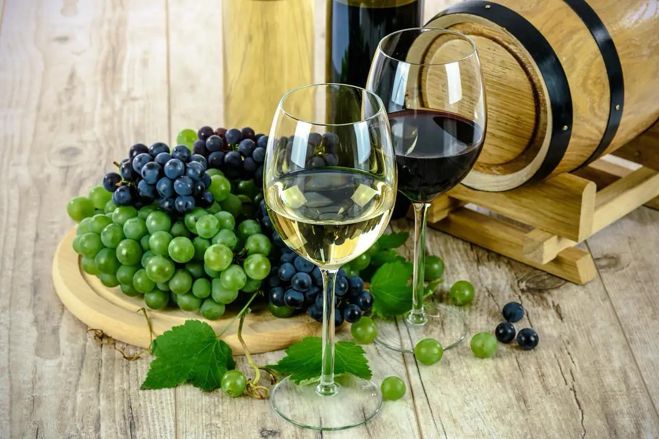 Formación en Vinos: descubre las oportunidades de formación en vinos, desde cursos para aficionados hasta programas de nivel profesional.