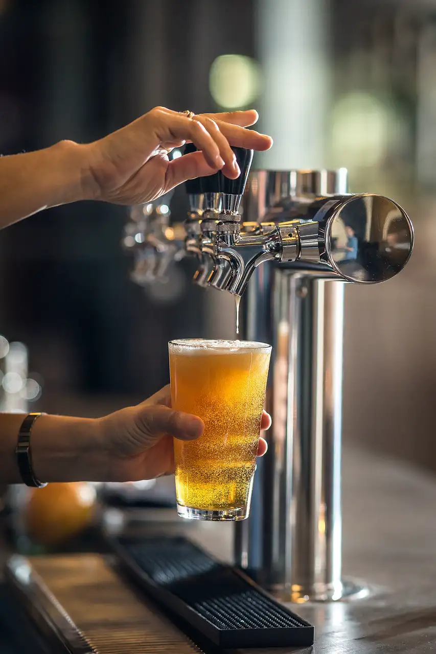 Tipos de Cerveza: desde lagers a stouts, conoce los distintos tipos de cerveza y sus características únicas.