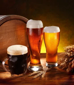 Cultura de la Cerveza: explora cómo la cerveza ha moldeado nuestras tradiciones y culturas a lo largo de los siglos.